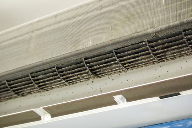 Best Air Duct Cleaning Company Near Me  in Oyster Bay Cove, NY